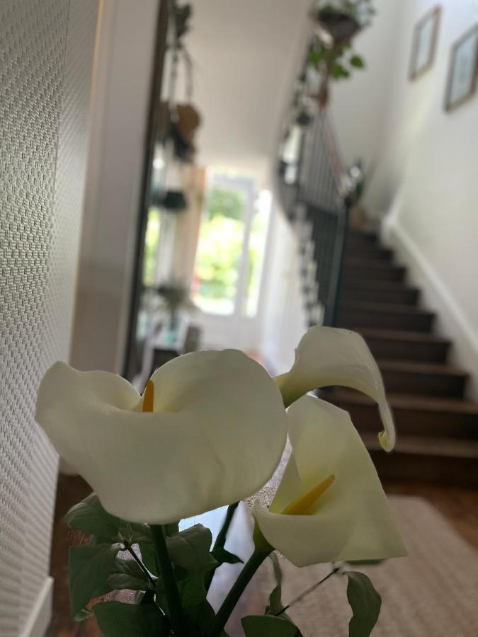Villa Des Roses Pontmain Kültér fotó